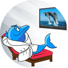 Footer logo